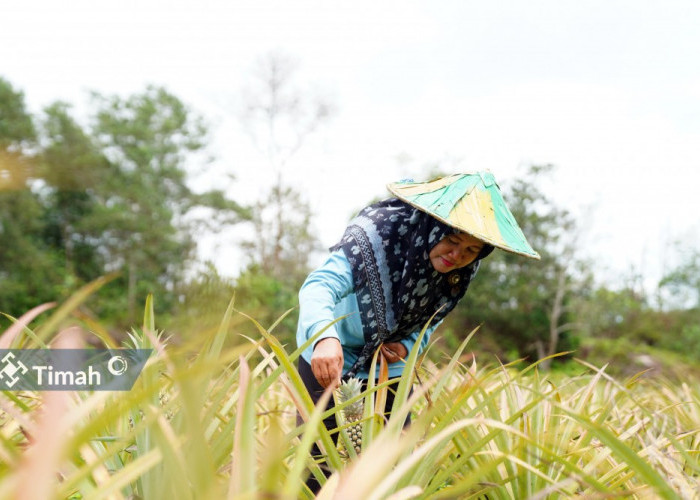 Zulyanti Sosok Inspiratif Dibalik Suksesnya Kelompok Tani Aek Jelutung