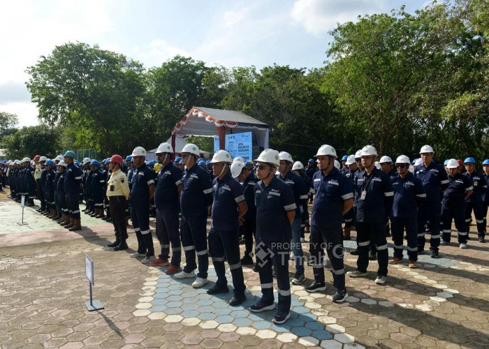 Puncak Bulan K3 Nasional 2026, PT Timah Tbk Berikan Penghargaan Karyawan dan Mitra Kerja