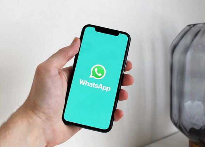 Cara Memulihkan Chat WhatsApp yang Terhapus, Mudah dan Cepat