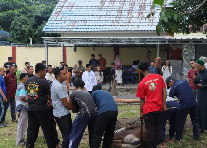 Polresta Pangkalpinang Sembelih 11 Hewan Kurban, Daging Dibagikan ke Warga dan Purnawirawan
