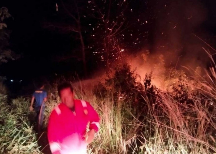 Karhutla Kembali Ancam Belitung, Api Nyaris Merambat ke Perumahan