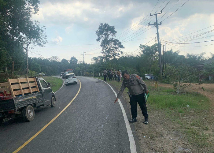Potongan Plat Nomor Jadi Petunjuk Pengungkapan Tabrak Lari di Petaling
