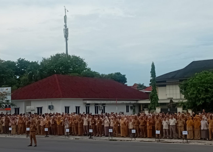 Puluhan ASN Pangkalpinang Purna Tugas, Pj.Wali Kota Harap Tetap Aktif Berkegiatan