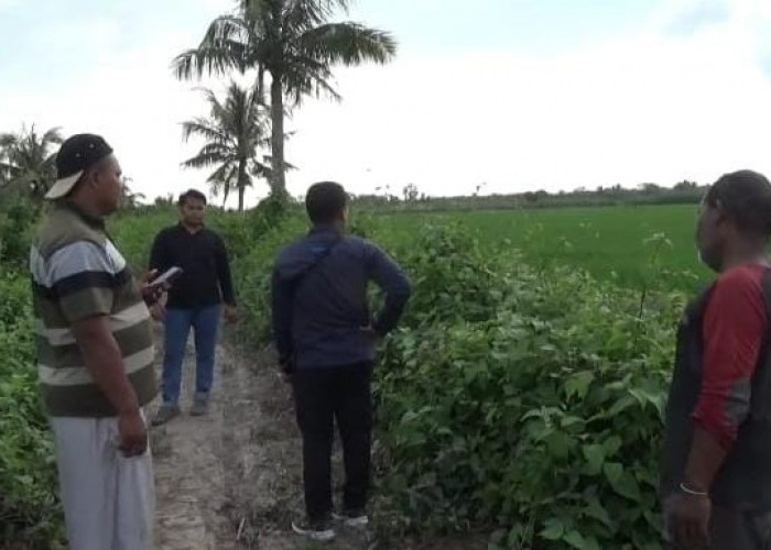 Petani Dusun SPA Rias Keluhkan JUT Rusak, Biaya Angkut Gabah Capai Rp 30 Ribu