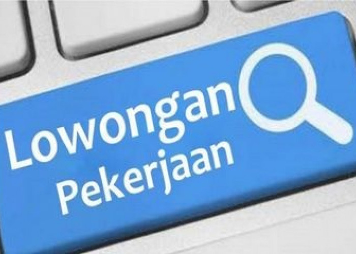 Kemenko Perekonomian Buka Lowongan Kerja   untuk Lulusan S1, Gaji Rp 5,7 JUta. Minat?