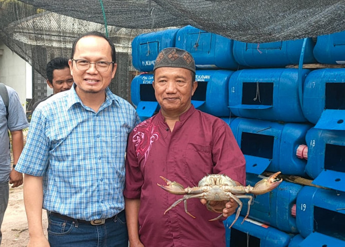 Solusi Musim Paceklik, Bangka Tengah Tawarkan Budidaya Kepiting Kremangok Appartement Crab Box 