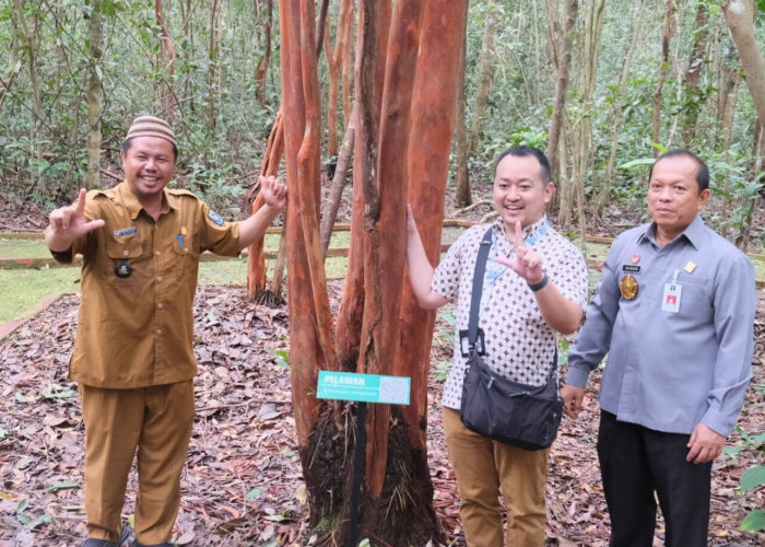 Kakanwil Harun Sulianto Kunjungi Hutan Pelawan Bangka Tengah, Ada Apa?