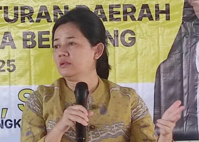 Normalisasi Sungai Pumpung Dinding Tanggul Jebol, Rina Tarol Minta Ini ke APH 