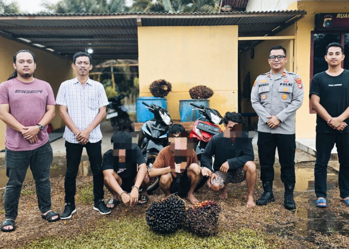 Tiga Pria Ditangkap, Aksinya Maling Sawit di Desa Rukem