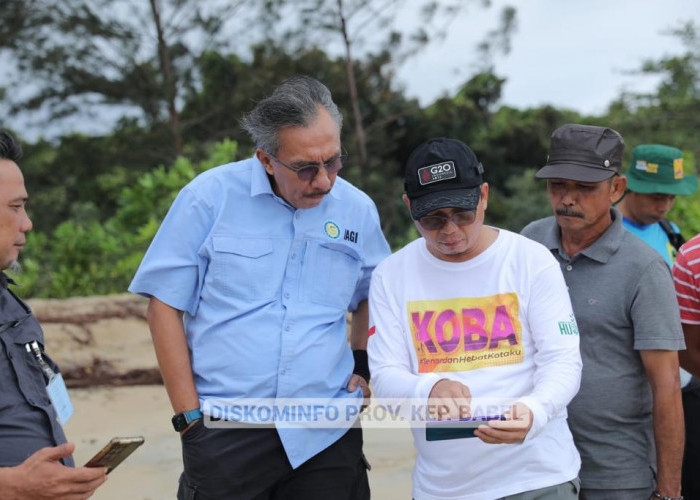 PT Timah Akan Kelola Lahan Eks Kobatin 