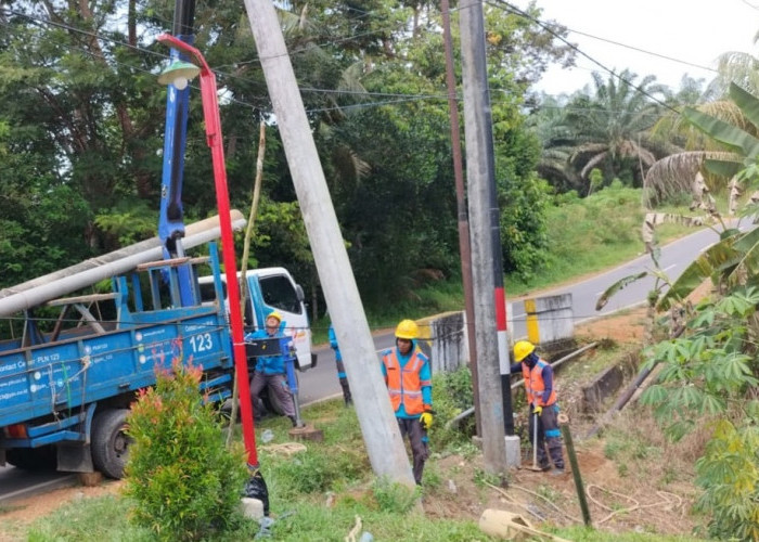 Antisipasi Tanah Longsor, PLN Lakukan Pemeliharaan Tiang Jaringan SUTM 20kV