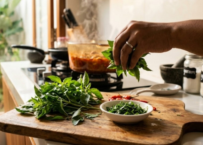 Enak Buat Masakan dan Lalapan, Ini 5 Manfaat Daun Kemangi Bagi Tubuh