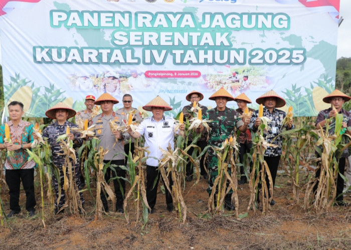 Bukti Nyata Dukung Swasembada Pangan : Gubernur Hidayat Arsani Hadiri Panen Raya Jagung Serentak 