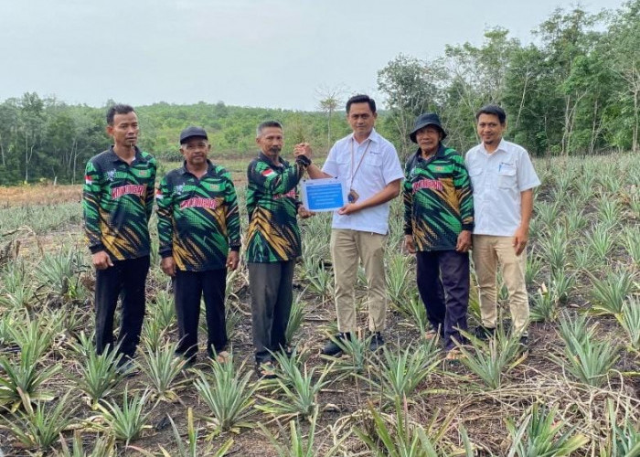Perkuat Ekonomi Masyarakat, PT Timah Bantu Petani di Kundur Lewat Bibit Tanaman