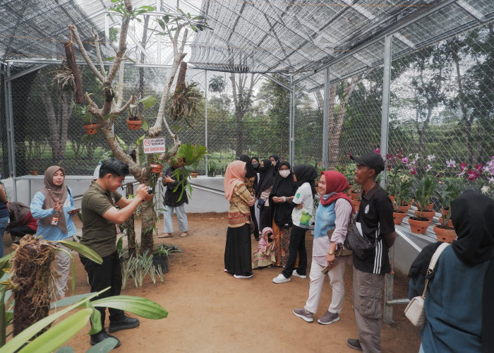 Program Greenhouse Anggrek Pertamina Pilihan Destinasi Eduwisata di Pangkalpinang