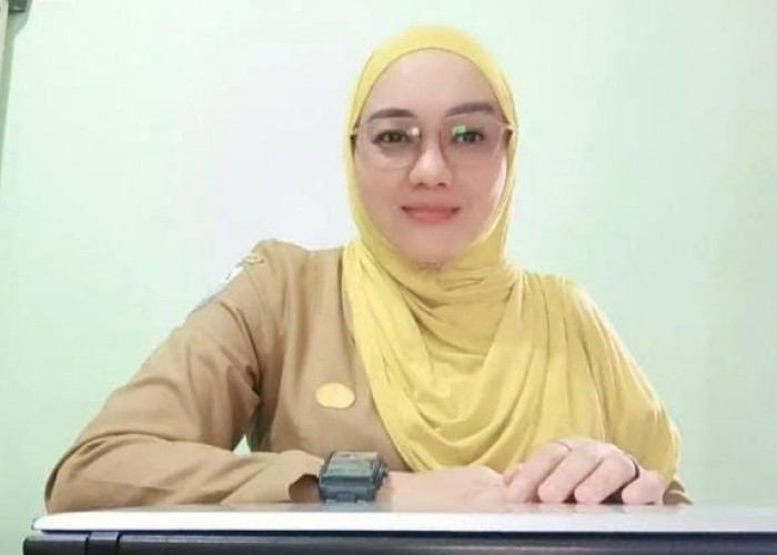 Pemkab Basel Buka Rekrutmen PPPK Tahap II, Segini Jumlah Pendaftar 