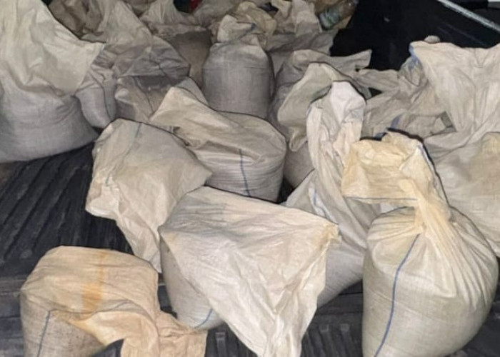 Kualitas Jadi Pembeda, Ini Alasan Kompensasi Bijih Timah di Penambang