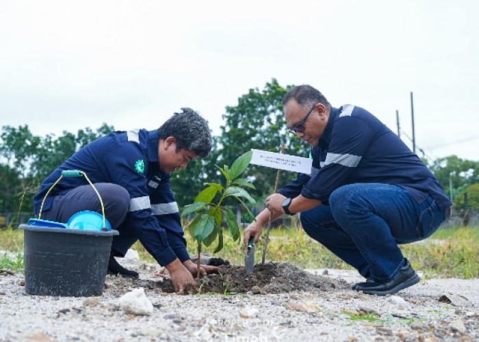 Kolaborasi dengan Pemerintah, PT Timah Tanam 500 Pohon Buah Dalam Rangka Peringatan Bulan K3 Nasional 