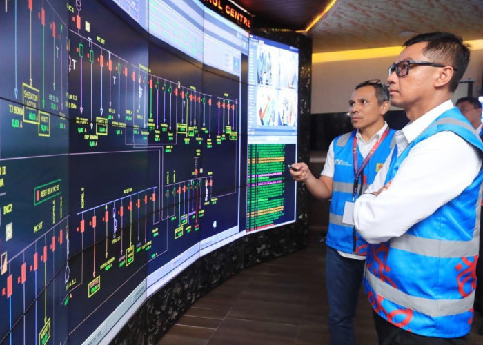 Peningkatan Pendapatan Dorong PLN Masuk Fortune Global 500