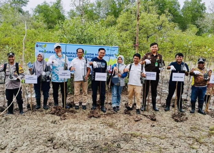 Jaga Ekosistem Pesisir, PT Timah Tbk Tanam Ribuan Mangrove di Pantai Kobel Kundur