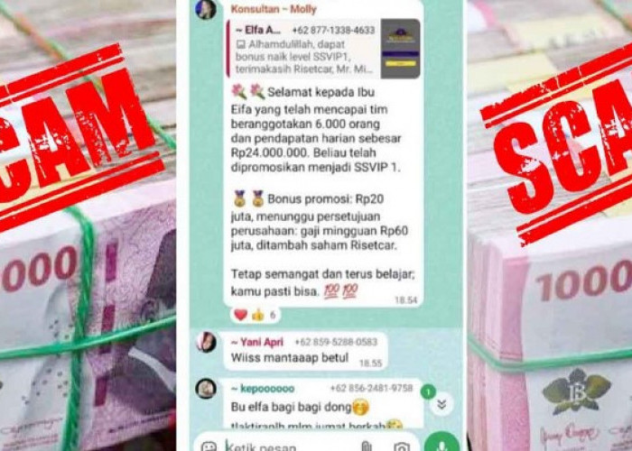 Ribuan Warga Belitung Jadi Korban Investasi RisetCar, Kerugian Diduga Capai Miliaran Rupiah