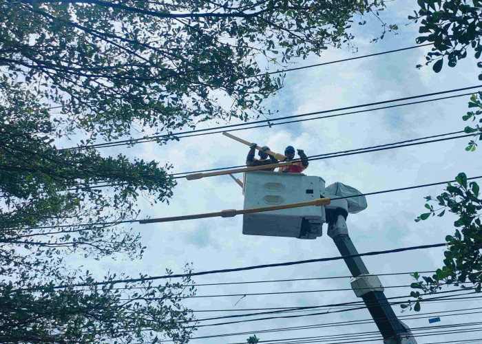 Jelang Siaga Kelistrikan Idul Adha, Tim PDKB PLN UP3 Bangka Tingkatkan Keandalan Kelistrikan