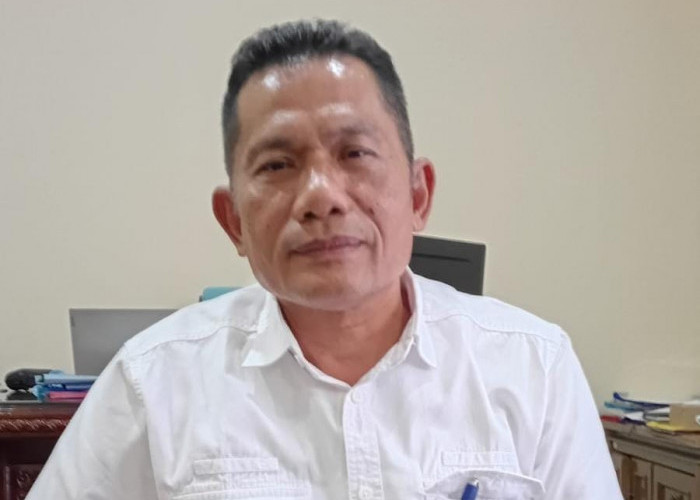 Ekonomi Lemah, UKT Mahasiswa Terdampak, Gali Potensi Baru