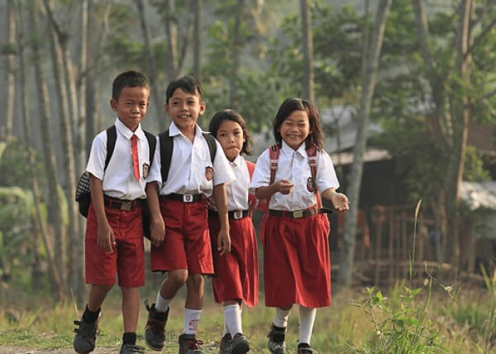 Empat Tahun Terakhir, Ada 175 Siswa SD di Bangka Tengah Putus Sekolah