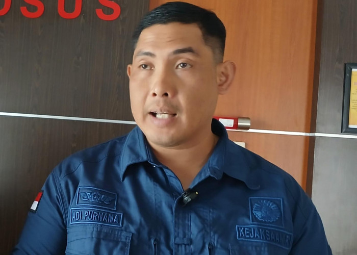 Kasus Hutan Nadi & Sarang Ikan, Kejati Babel Klaim Sudah Kantongi Barang Bukti dari Hasil Penggeledahan