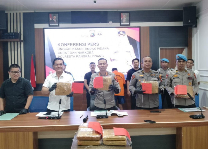 Polresta Pangkalpinang Tangkap Bandar Narkoba Jaringan Medan, 14 Kilogram Ganja Disita