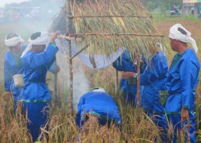 Meriahnya Pesta Adat Murok Jerami dan Program Petani Sahabat Adhyaksa di Desa Namang Bangka Tengah
