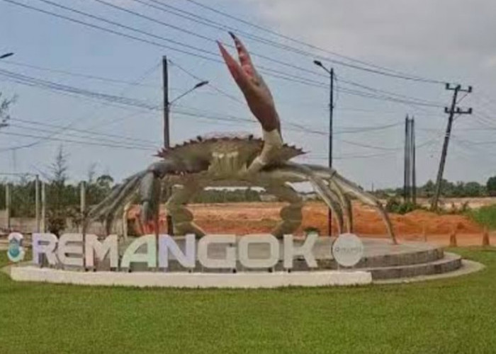 Tugu Remangok dan Pasar Buah Ikan, Cara Molen Mengembangkan Kawasan Selindung