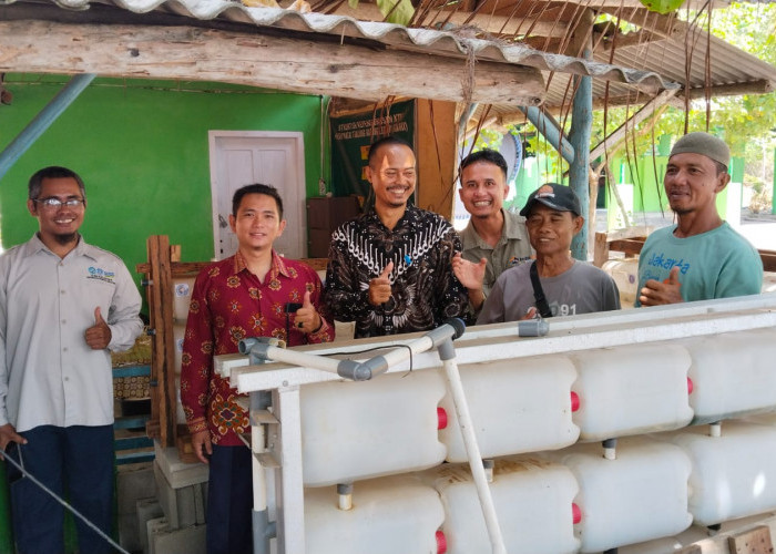 Dosen UBB Gagas Apartemen Kepiting di Pantai Takari, Program Penggemukan dan Atraksi Wisata