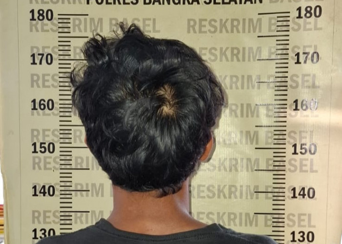 Hanya Gara-gara HP, Suami di Toboali Tega Menganiaya Istrinya, Begini Akhirnya 
