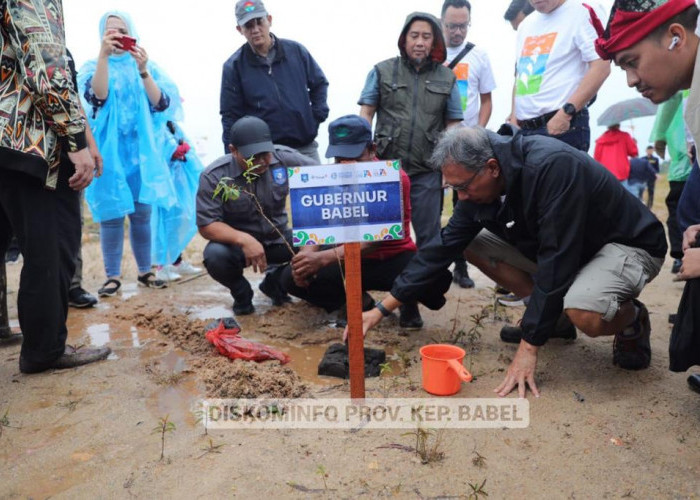 Penanaman 1000 Pohon Kayu Putih dan Taman Ganesha Jadi Salah Satu Jejak Terbaik Rakernas IA-ITB