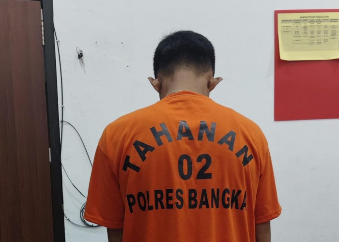 Pengedar Sabu di Perkebunan Sawit Desa Kota Kapur Dibekuk Polisi
