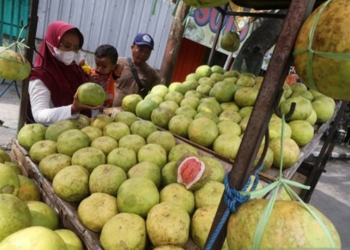 Kalau Minum Obat, Sebaiknya Hindari Makan Buah Ini 