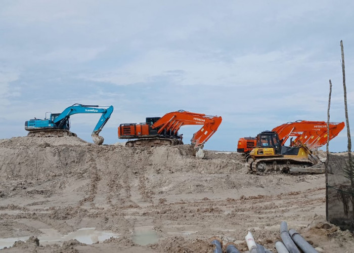 315 Hektar Kawasan Hutan Lubuk Dirambah, Kerugian 12,9 Triliun