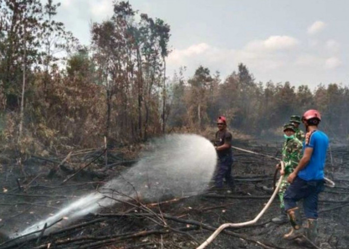 Belitung Catat 582 Kejadian Bencana 2026, Karhutla Jadi Kasus Terbanyak