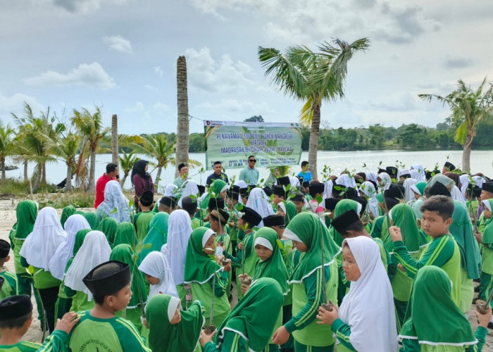 Edukasi Pelajar Untuk Jaga Ekosistem, PT Timah Tbk Libatkan Pelajar MIN 1 Bangka Tanam Mangrove 