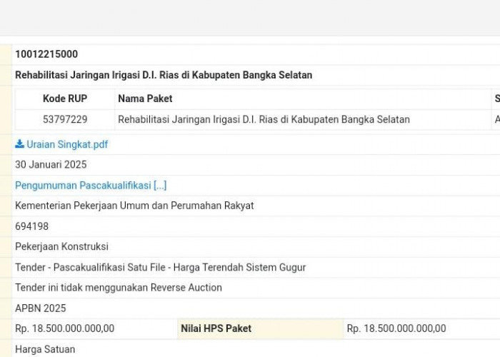 Tingkatkan Produksi Padi, Pemkab Basel Dapatkan Alokasi Rehabilitasi Jaringan Irigasi