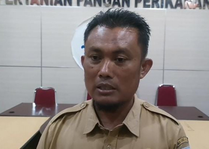 Dinas Pertanian Ajak Masyarakat Beli Beras SPHP, Ini Alasannya 