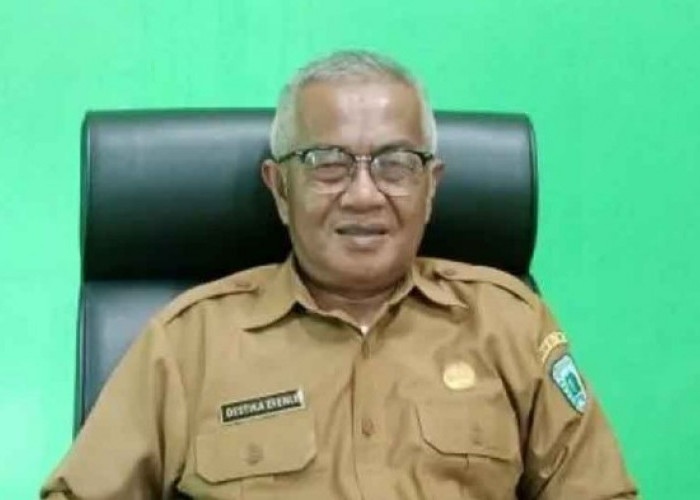 DKPP Belitung Dorong Petani Tetap Tanam Lada di Tengah Penurunan Produksi