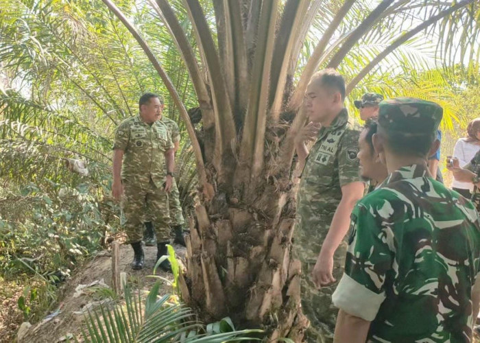 60 Ribu Hektare Lahan Gambut Bangka Selatan Jadi Perhatian Satgas Karhutla