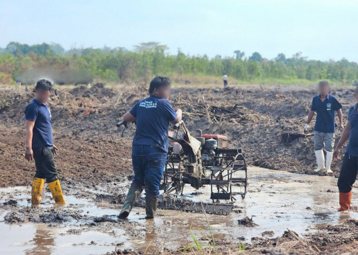 Warga Binaan Lapas Pangkalpinang Berkarya Lewat Cetak Sawah di Kelurahan Binaan