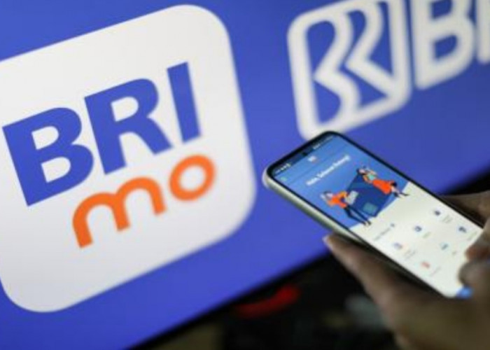 BRImo Permudah Transaksi Hingga Pelosok Desa