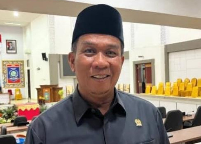 Pahlivi DPRD Babel Desak Eks Lahan PT Timah Direklamasi Jadi Kebun Sawit