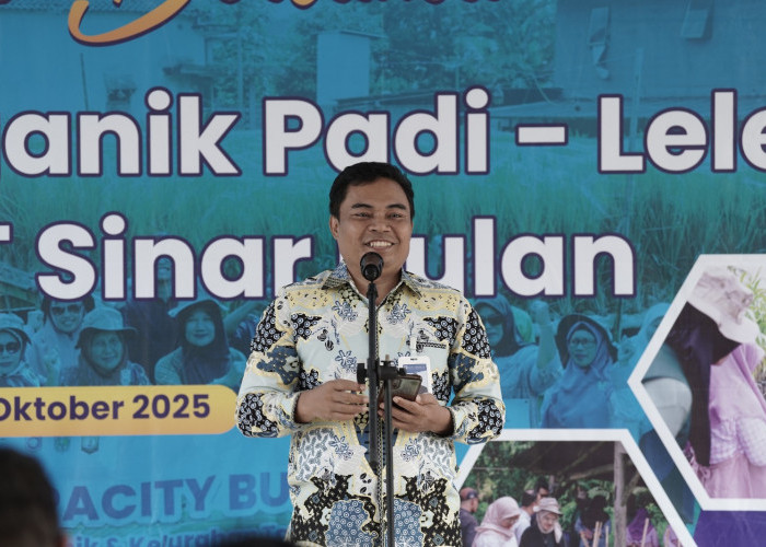 Inflasi Babel pada Oktober 2025 Terjaga Stabil