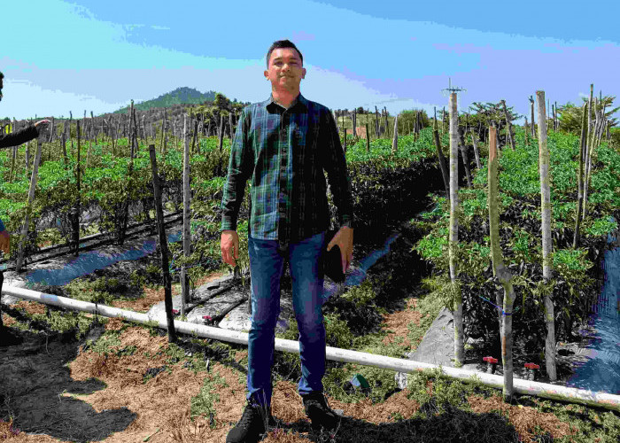 Mengendalikan Inflasi dari Meja Makan