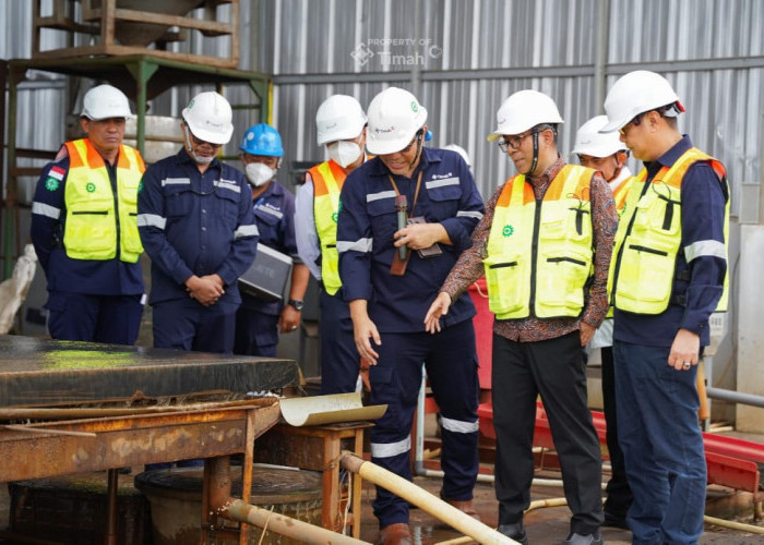 Mendiktisaintek Dorong PT Timah Jadi Pelopor Pengembangan Logam Tanah Jarang di Indonesia
